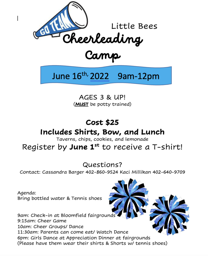 Little Bees Cheer Camp 2022